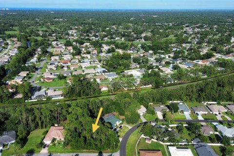 Land in Palm Coast, Florida № 1869093 - photo 8
