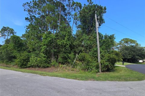 Land in Palm Coast, Florida № 1869093 - photo 6