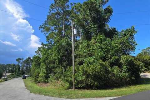 Land in Palm Coast, Florida № 1869093 - photo 1