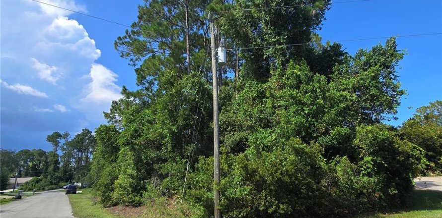 Land in Palm Coast, Florida № 1869093