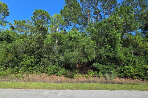 Land in Palm Coast, Florida № 1869093 - photo 10