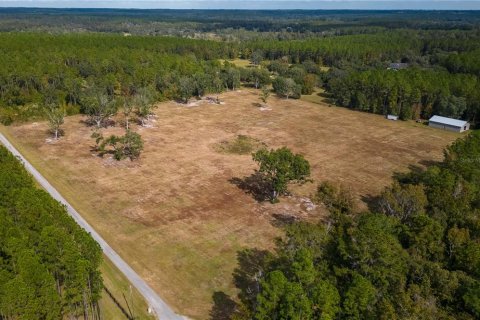 Terreno en venta en Reddick, Florida № 1554924 - foto 8