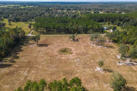 Terreno en venta en Reddick, Florida № 1554924 - foto 10