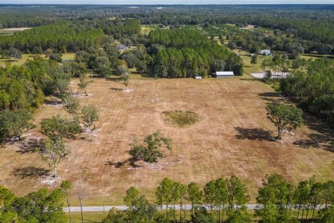 Terreno en venta en Reddick, Florida № 1554924 - foto 13