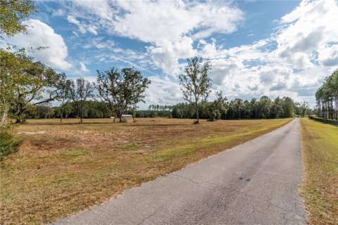 Terreno en venta en Reddick, Florida № 1554924 - foto 4