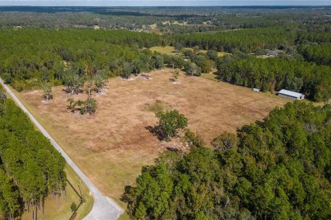 Terreno en venta en Reddick, Florida № 1554924 - foto 14