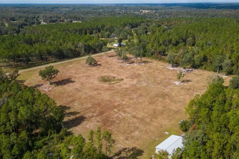 Terreno en venta en Reddick, Florida № 1554924 - foto 9