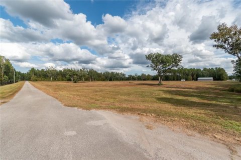 Terreno en venta en Reddick, Florida № 1554924 - foto 3