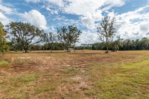 Terreno en venta en Reddick, Florida № 1554924 - foto 5