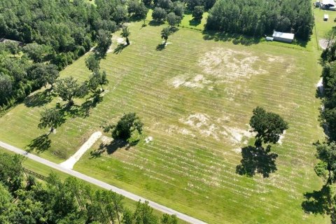 Terreno en venta en Reddick, Florida № 1554924 - foto 15