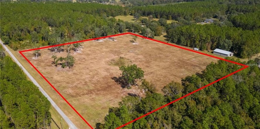 Land in Reddick, Florida № 1554924