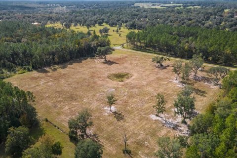 Terreno en venta en Reddick, Florida № 1554924 - foto 11