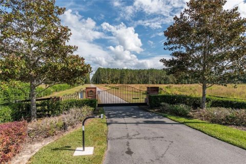 Terreno en venta en Reddick, Florida № 1554924 - foto 7