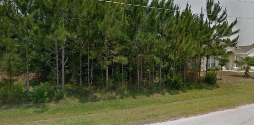 Terrain à Kissimmee, Floride № 1274946