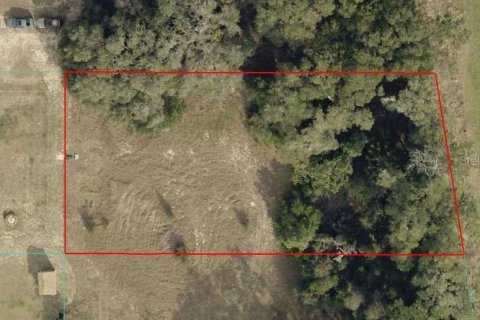 Land in Summerfield, Florida № 2167597