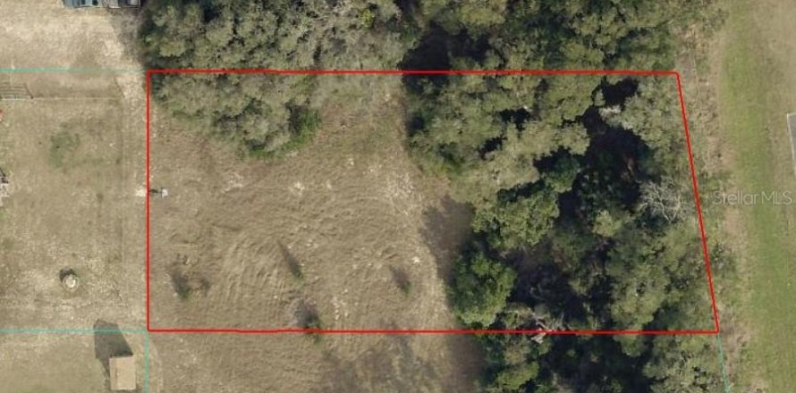 Land in Summerfield, Florida № 2167597