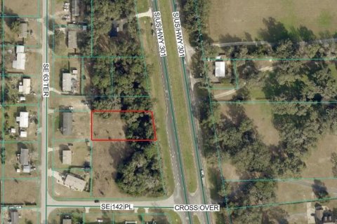 Land in Summerfield, Florida № 2167597 - photo 4