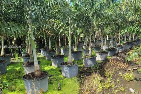 Immobilier commercial à vendre à Miami, Floride № 1999410 - photo 12