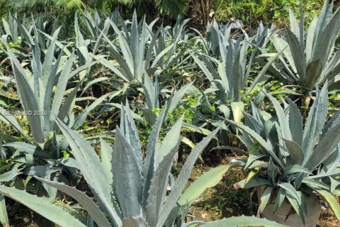 Immobilier commercial à vendre à Miami, Floride № 1999410 - photo 17