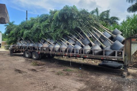 Immobilier commercial à vendre à Miami, Floride № 1999410 - photo 9