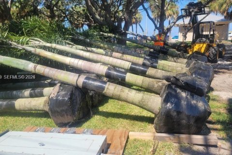 Immobilier commercial à vendre à Miami, Floride № 1999410 - photo 14