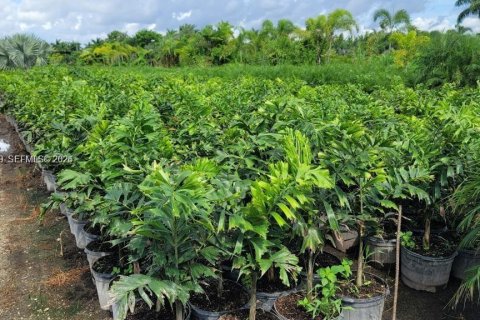 Immobilier commercial à vendre à Miami, Floride № 1999410 - photo 19