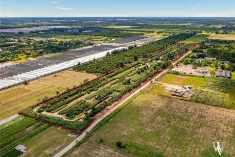 Immobilier commercial à vendre à Miami, Floride № 1999410 - photo 4