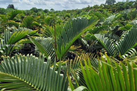 Immobilier commercial à vendre à Miami, Floride № 1999410 - photo 11