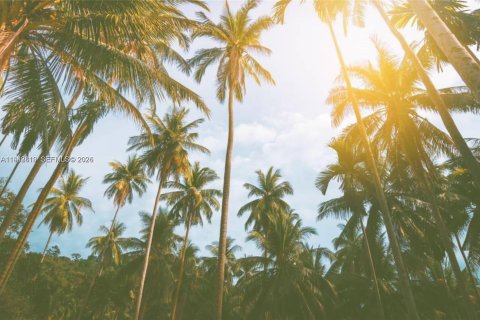 Immobilier commercial à vendre à Miami, Floride № 1999410 - photo 13