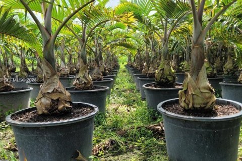 Immobilier commercial à vendre à Miami, Floride № 1999410 - photo 18