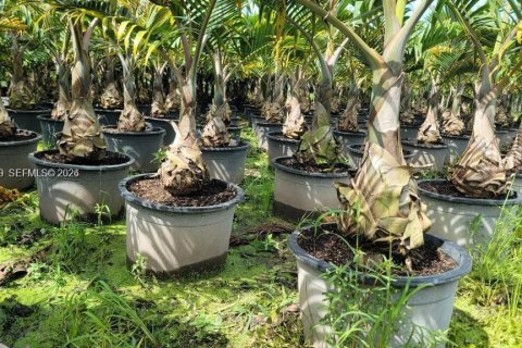 Immobilier commercial à vendre à Miami, Floride № 1999410 - photo 15