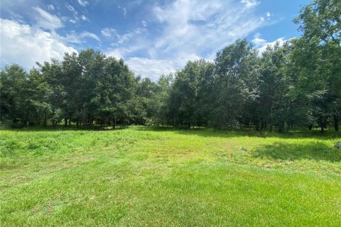 Снять в аренду квартиру в Уэсли-Чепел, Флорида 3 спальни, 150.5м2, № 1812667 - фото 2