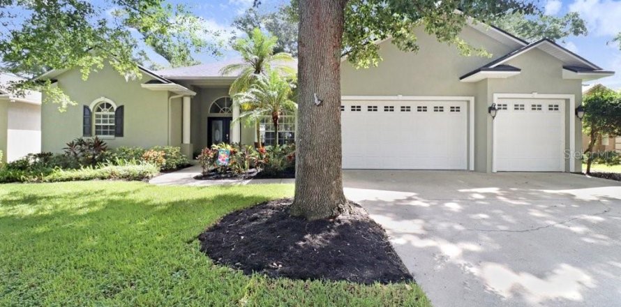 House in Valrico, Florida 4 bedrooms, 242.38 sq.m. № 2345092