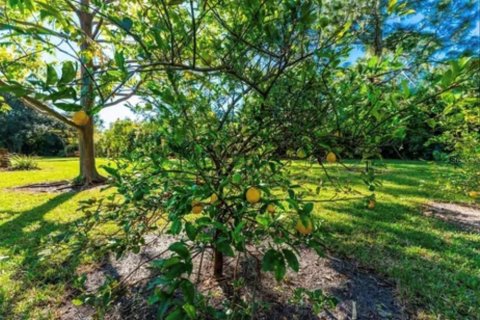 Land in Punta Gorda, Florida № 2115976 - photo 2