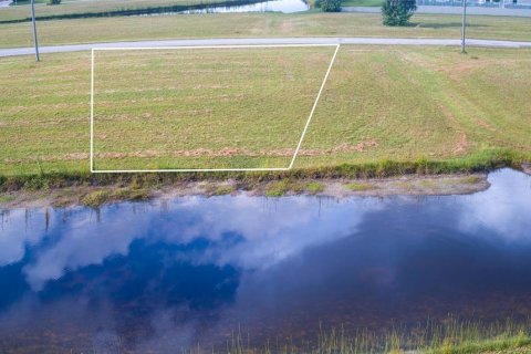 Terrain à Punta Gorda, Floride № 2109237