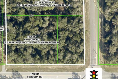 Land in Brooksville, Florida № 1808530 - photo 1
