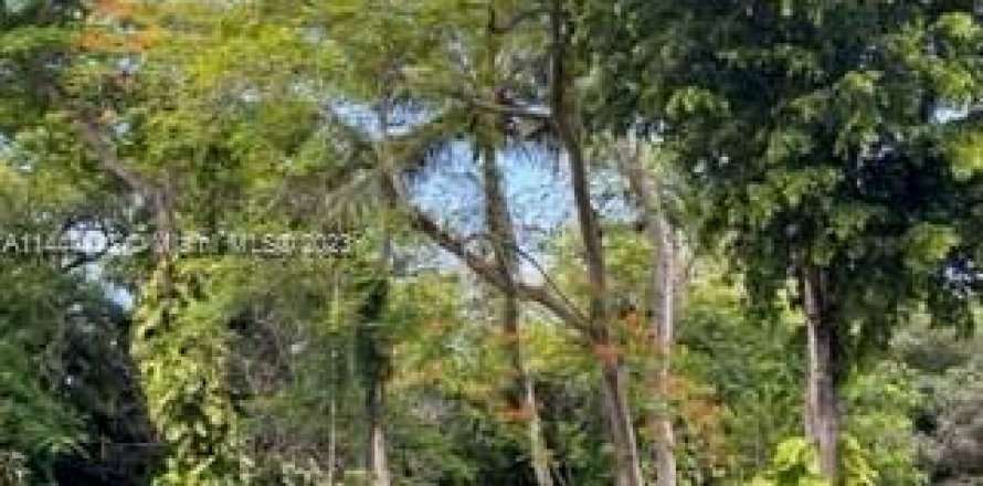 Land in Miami, Florida № 1890552
