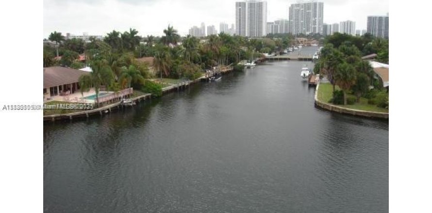 Studio à Condo à Hallandale Beach, Floride  № 1977803