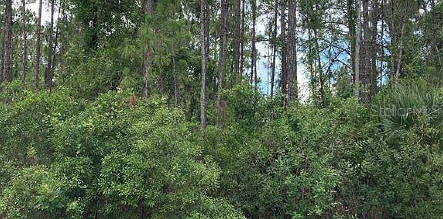 Terrain à North Port, Floride № 2159109