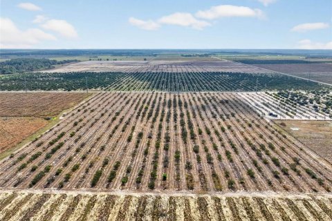 Land in Bartow, Florida № 2145498 - photo 13