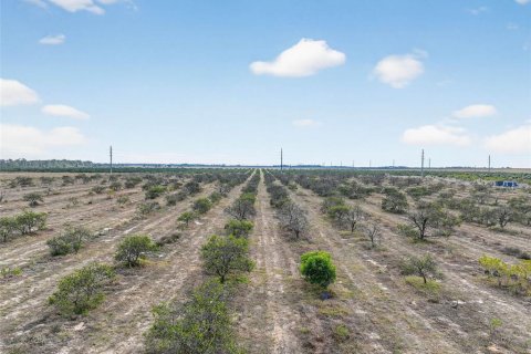 Land in Bartow, Florida № 2145498 - photo 6