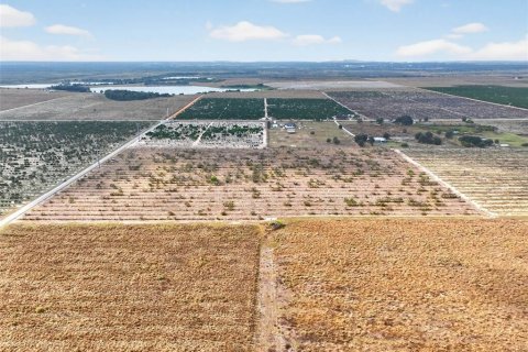 Land in Bartow, Florida № 2145498 - photo 11