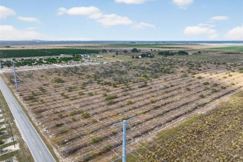 Land in Bartow, Florida № 2145498 - photo 7