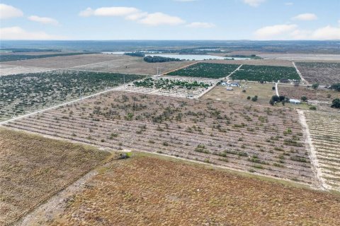 Land in Bartow, Florida № 2145498 - photo 9