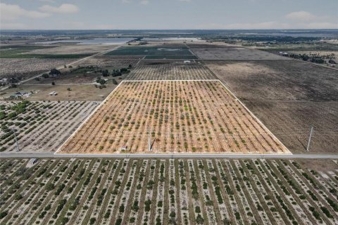 Land in Bartow, Florida № 2145498 - photo 3