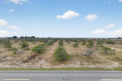 Land in Bartow, Florida № 2145498 - photo 4