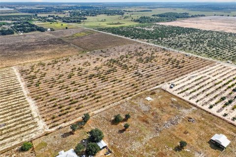 Land in Bartow, Florida № 2145498 - photo 15