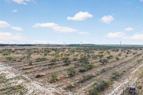 Land in Bartow, Florida № 2145498 - photo 5