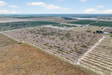 Land in Bartow, Florida № 2145498 - photo 8