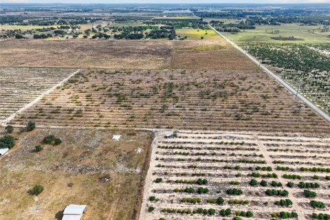 Land in Bartow, Florida № 2145498 - photo 14